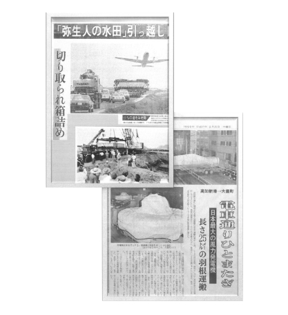 高知新聞 実績